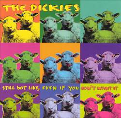 The Dickies : Still Got Live, Even If You Don't Want It